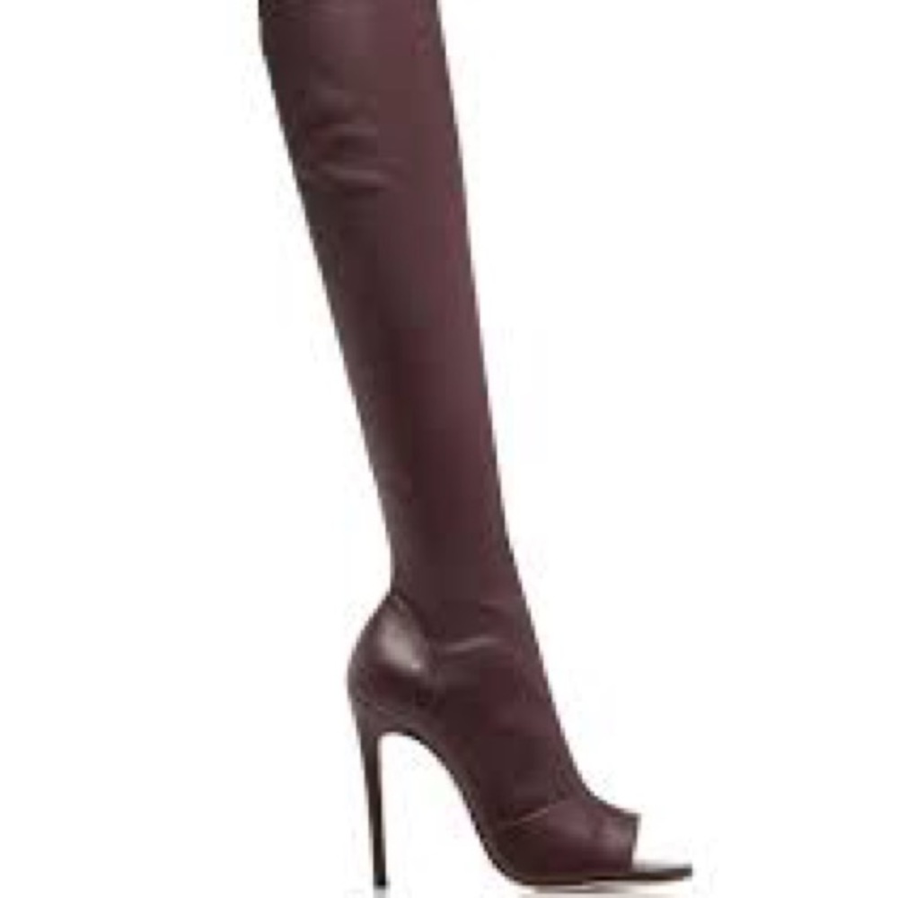 Victoria Beckham Opaz Boots